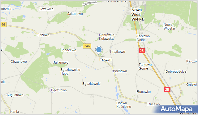 mapa Palczyn, Palczyn na mapie Targeo